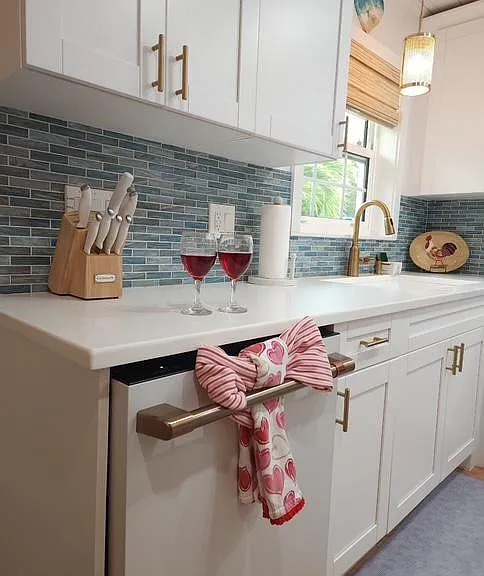 309 E Calzada De Bougainville — Photo 11