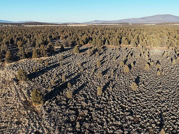 4th image of Xx Re Rock Rd