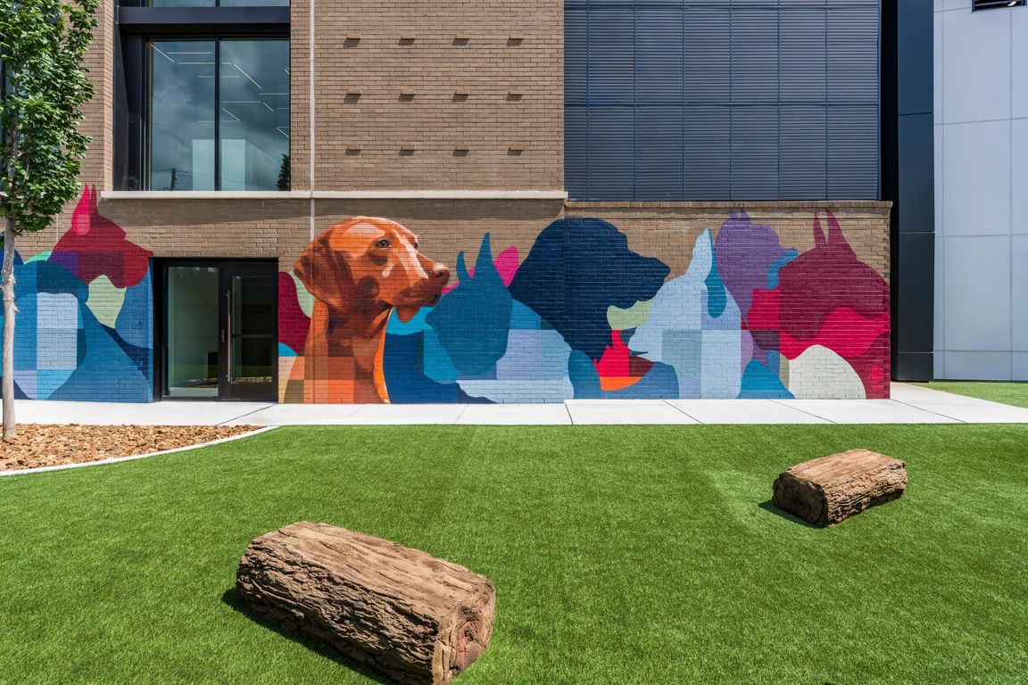 Colorful art meets community connection in this fenced dog park with turf, agility features, and a vibrant mural backdrop.