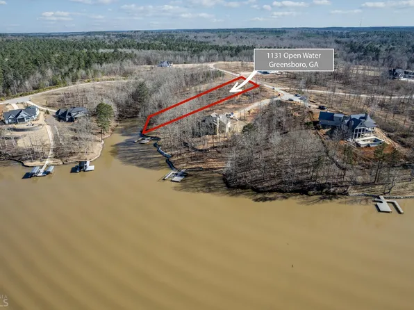 1131 Open Water Dr, Greensboro, GA 30642