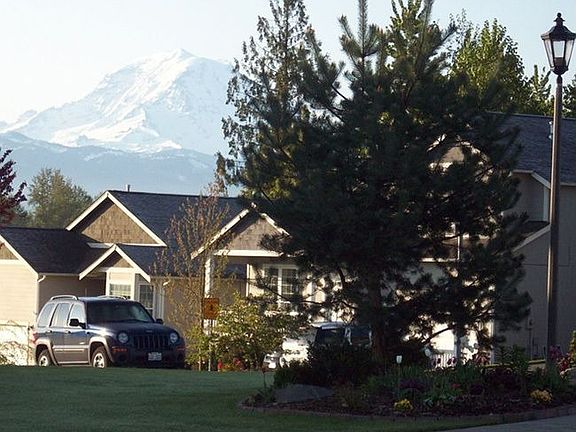Mt. Rainier view from front of home