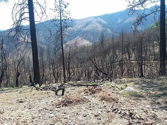 Southern view after the fire