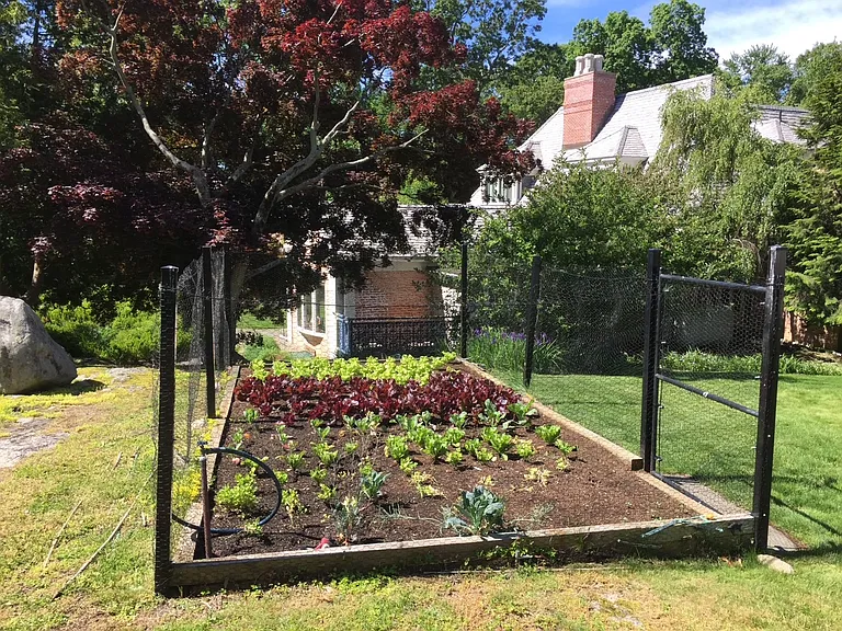 Herb & vegetable garden
