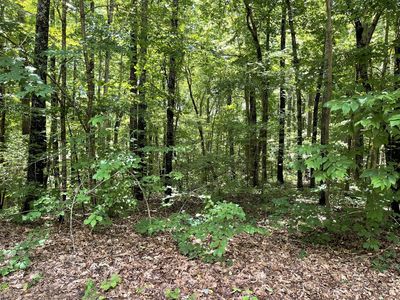 0 Long Mountain Rd, McMinnville, TN, 37110