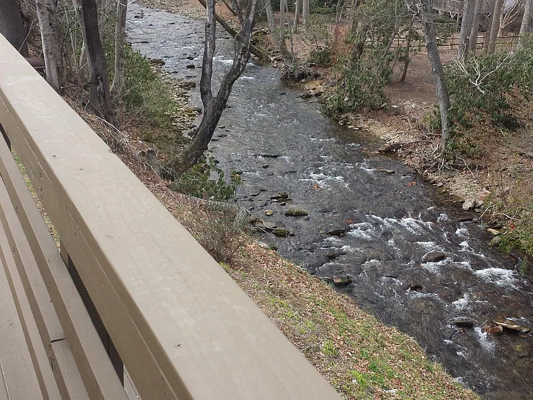 49 Riverside Villa Dr — Photo 12