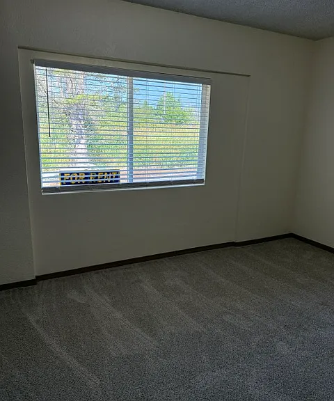 4206C 112th St E — Photo 5