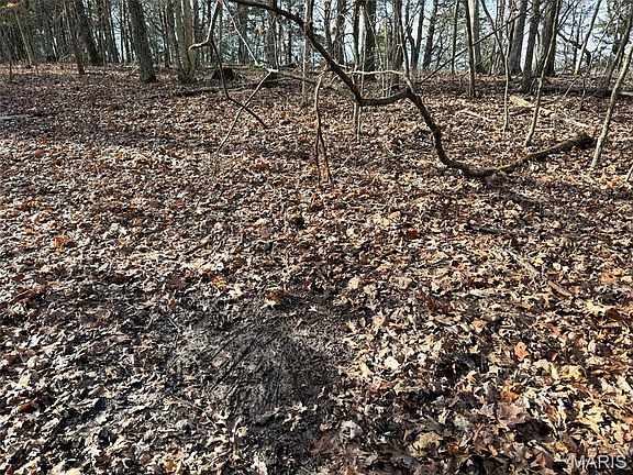 5th image of 0 Haverstick School Rd