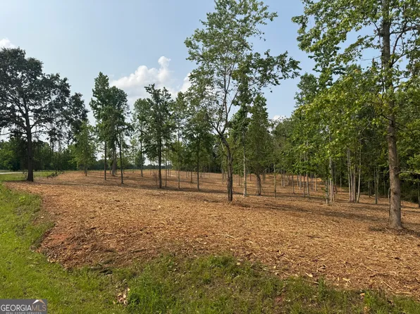 2 Happy Hollow Rd, Roopville, GA 30170