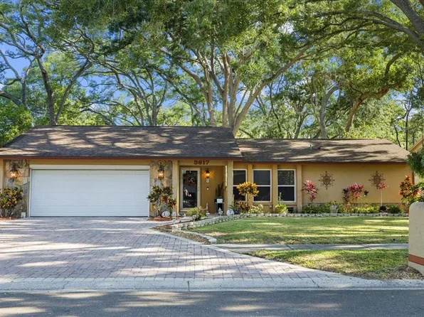 3617 ARLINGTON OAKS COURT, TAMPA, FL 33618