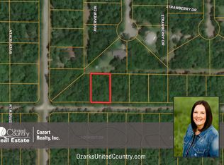 1807 Lookout Dr, Horseshoe Bend, AR 72512
