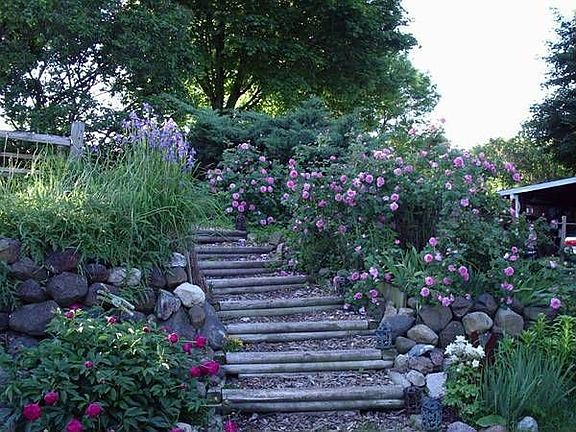 Lots of Gardens