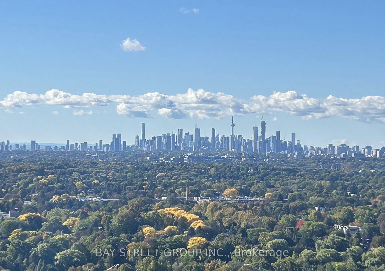 3 bed, $3,950 — Photo 3