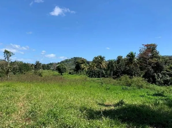State Highway 6684 Buena Vista Km #Home 2.5, Morovis, PR 00687