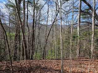 0 Wispy Willow Dr #24T, Waynesville, NC 28785