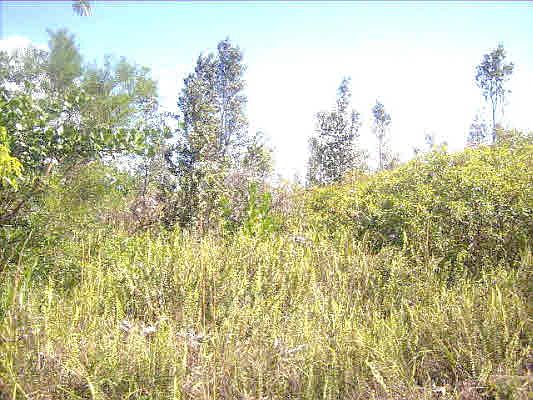 1st image of 8th Ave Lot 1693
