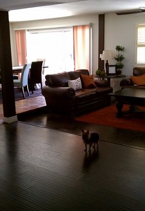 4th image of 355 S Moreno Cir