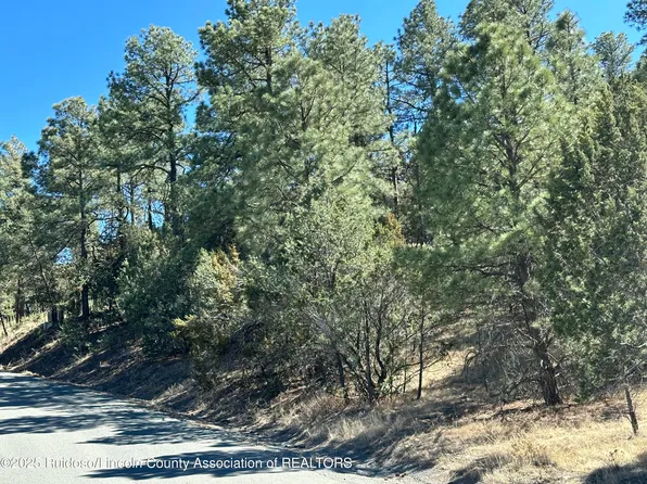 110 Antler Dr, Alto, NM 88312