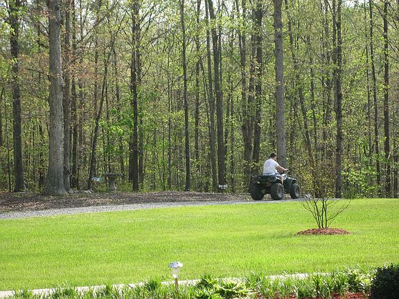 Loads of trails to ride four wheelers!