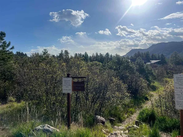 29 Edgemont Meadows Road, Durango, CO 81301