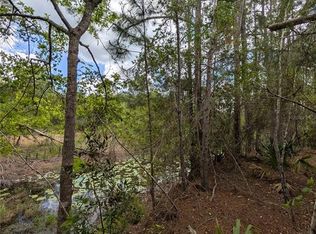38521 Ilex Trl Lot 7, Eustis, FL 32736