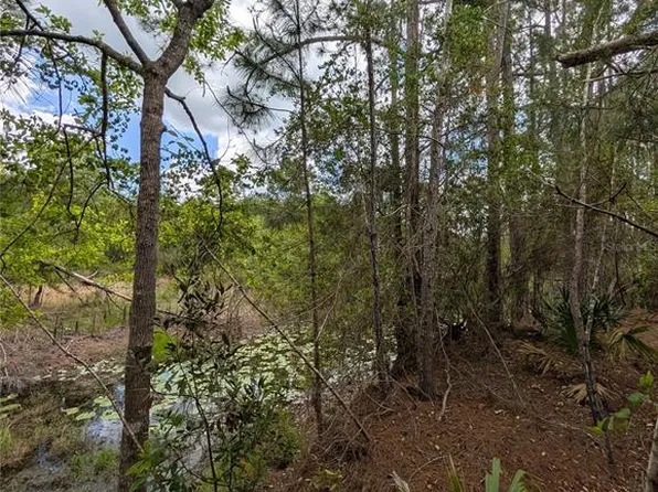 38521 Ilex Trl Lot 7, Eustis, FL 32736