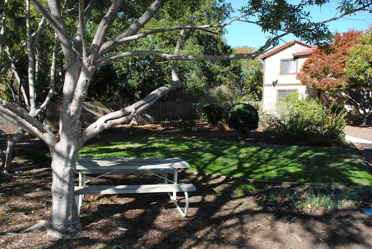 2 bed, $3,175 — Photo 4