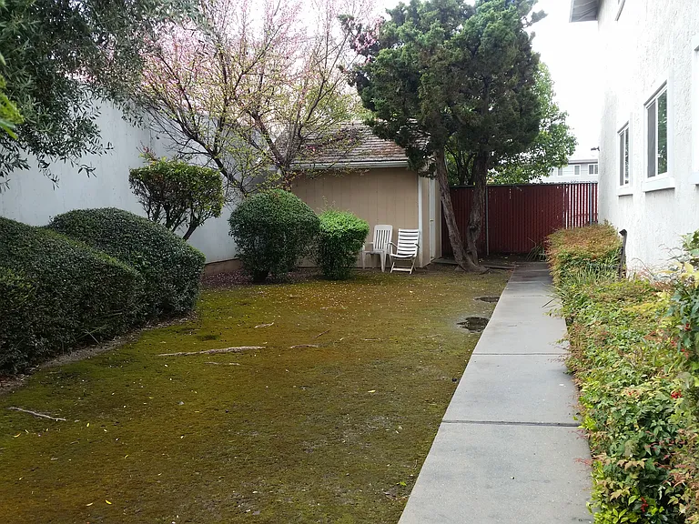 956 Paula St — Photo 11