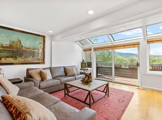 100 N 8th St UNIT 29, Aspen, CO 81611