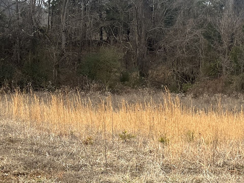 2nd image of 0 Hidden River Rd Lot 90