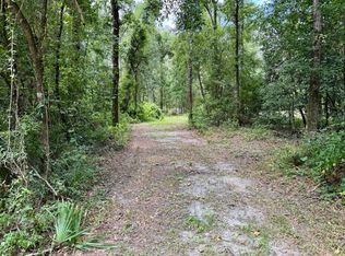 LOT 29 NE River Park Rd, Lee, FL 32059