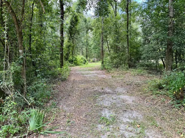 LOT 29 NE River Park Rd, Lee, FL 32059