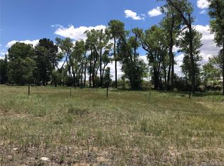 Merrill Lane, Buena Vista, CO 81211