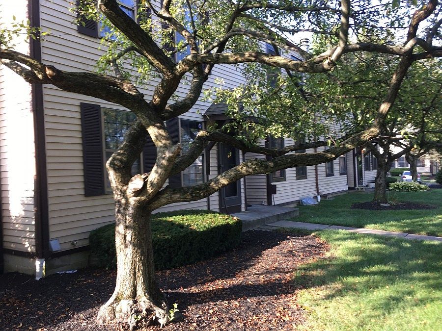 2nd image of 2307 Laurelwood Dr