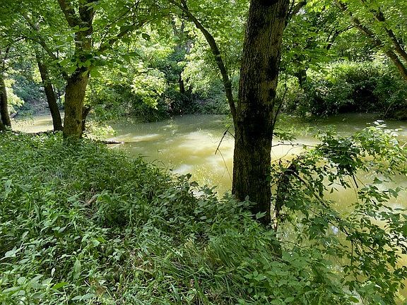 2nd image of 113 Lees Creek Rd