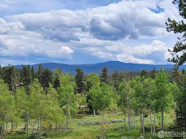 6427 Ottawa Way, Red Feather Lakes, CO 80545