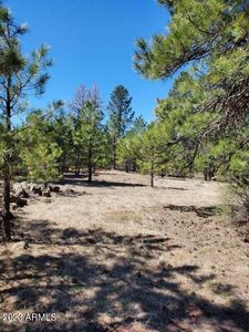 138 S Kaibab Ave, Parks, AZ, 86018