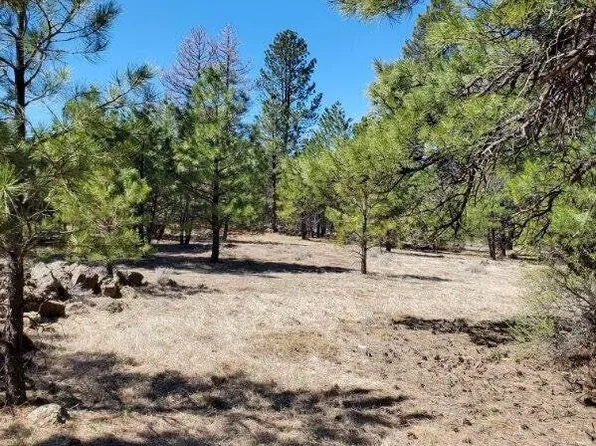 138 S Kaibab Avenue #-, Parks, AZ 86018