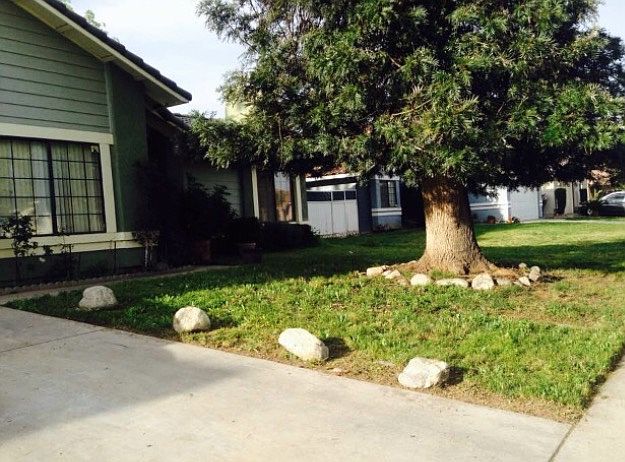 1st image of 24703 Mantee Pl