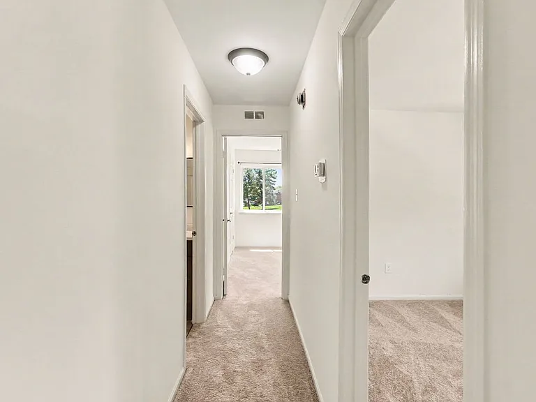 902 Dogwood Ct — Photo 9