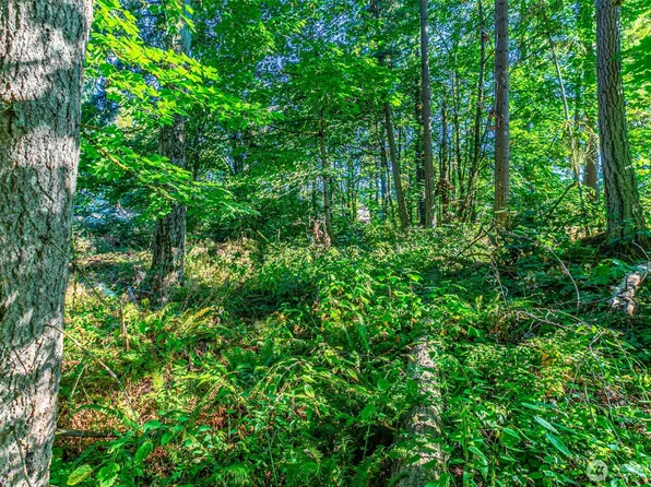 36922 6th Avenue SW, Federal Way, WA 98023