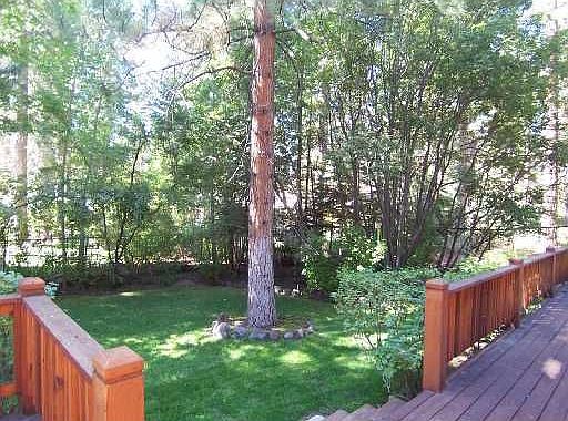 Back yard