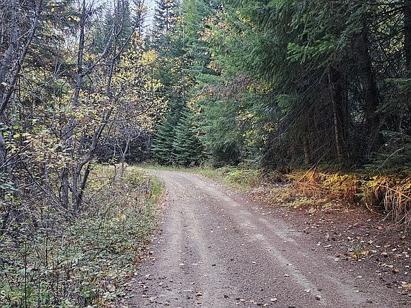 5th image of 410 Adams Creek Rd