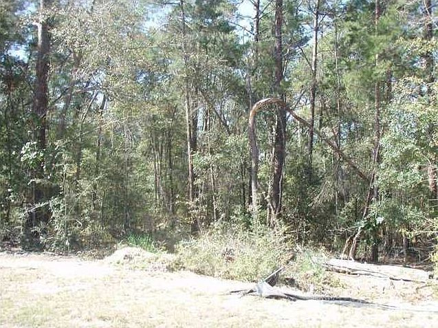 2nd image of 852 Coldwater Creek Cir