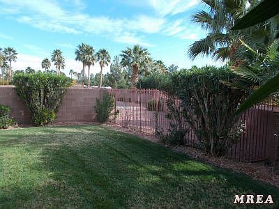 View from backyard to common area
