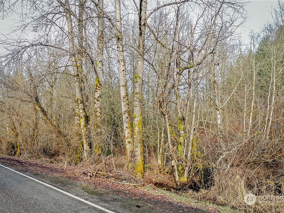 0 Reeder Rd SW, Tenino, WA 98589 MLS NWM2035218 Zillow