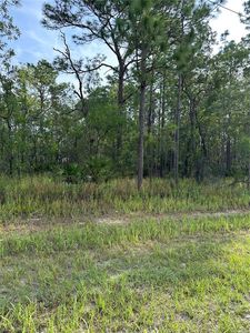 11375 Chickadee Rd #22, Brooksville, FL, 34614