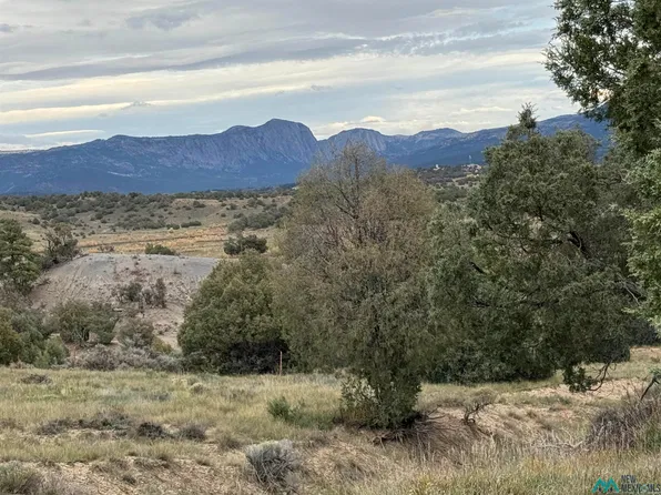 31 Bobcat Ln, Los Ojos, NM 87551