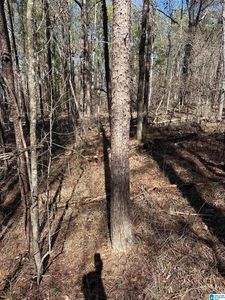 0 Fieldcrest Dr Lot 9, Hayden, AL, 35079