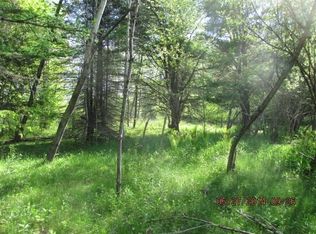 326 Goff Rd, Livingston Manor, NY 12758