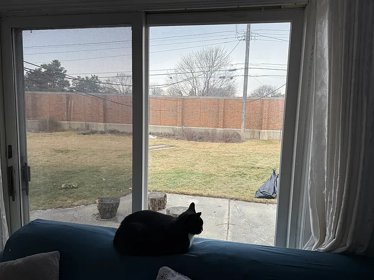8565 Potomac Ave — Photo 37